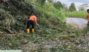 Bupati OKU Selatan Himbau Waspada Ancaman Bencana
